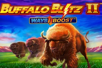 Buffalo Blitz 2